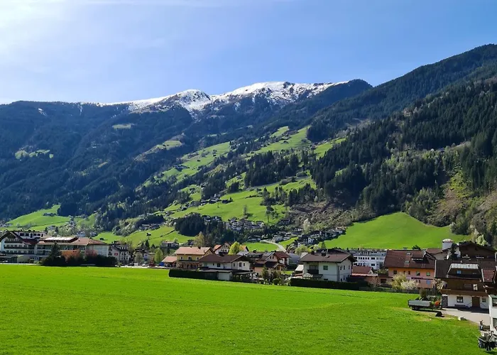 Zellrooms 젤암질러