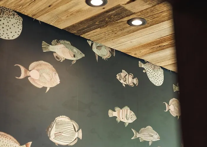 Zellrooms 젤암질러