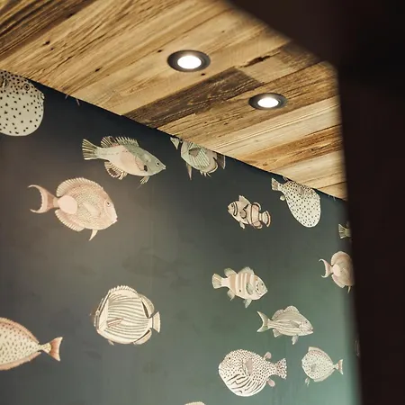 Zellrooms Цель-ам-Циллер